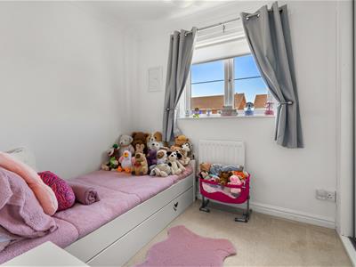 Picture 27